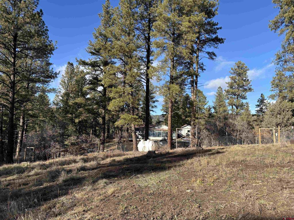 520 Hilltop Drive Pagosa Springs CO 81147