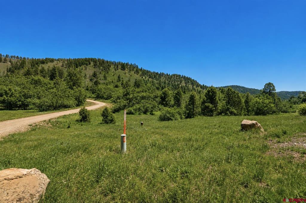 Tbd Road 46 Mancos CO 81328
