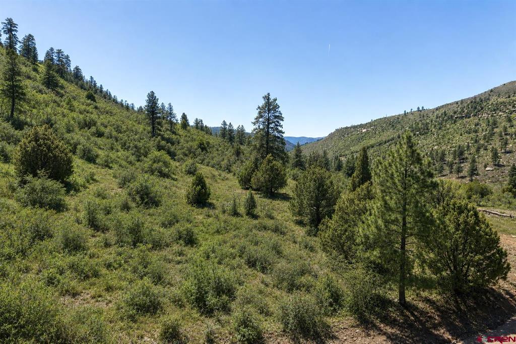 Tbd Road 46 Mancos CO 81328