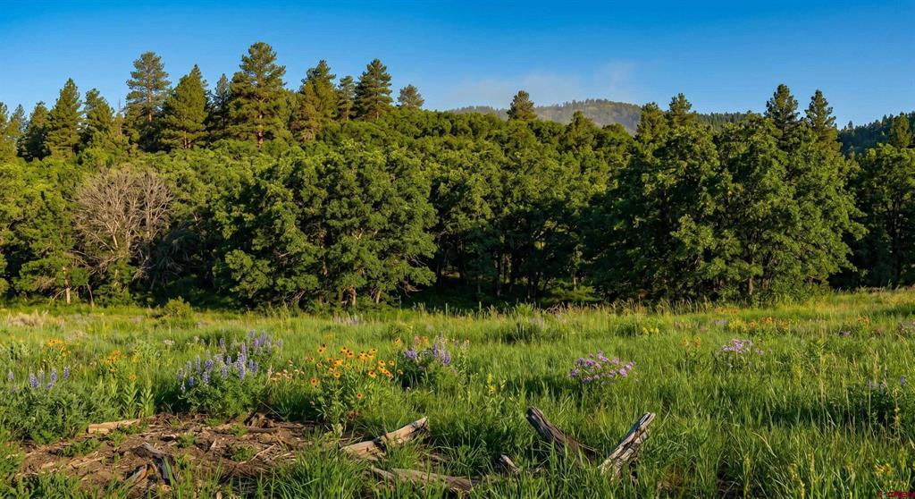 Tbd Road 46 Mancos CO 81328