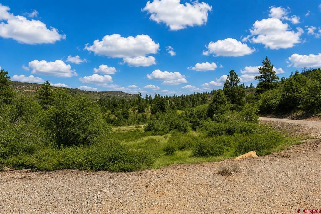 Tbd Road 46 Mancos CO 81328