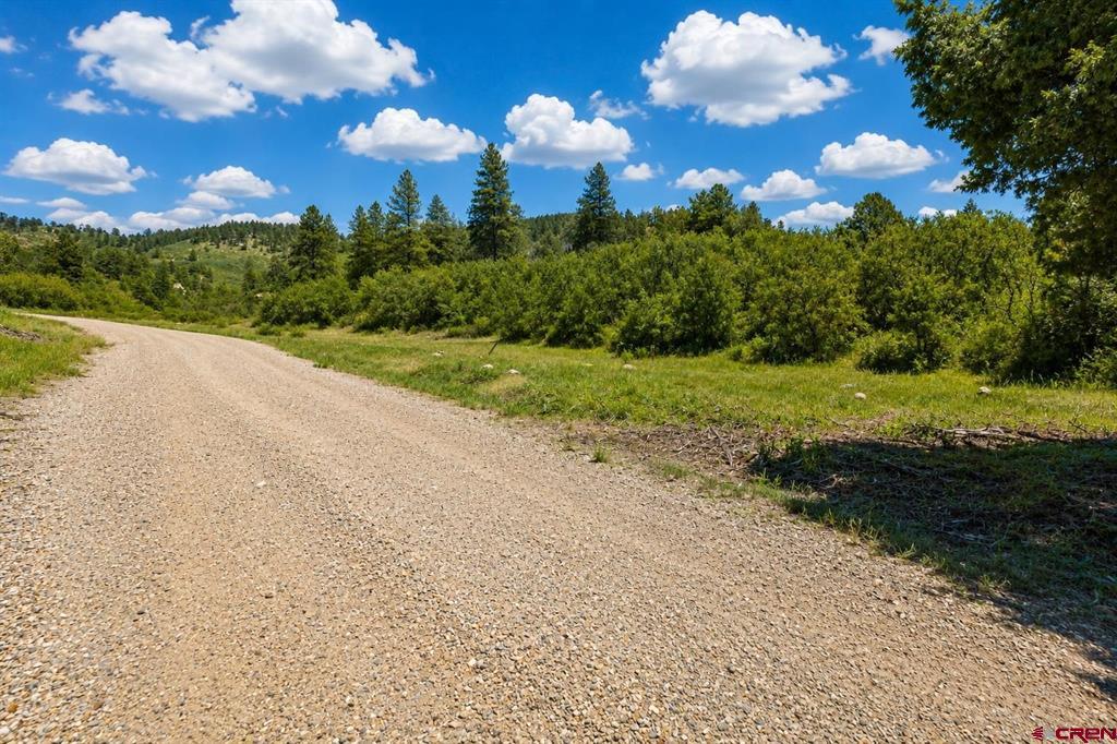 Tbd Road 46 Mancos CO 81328
