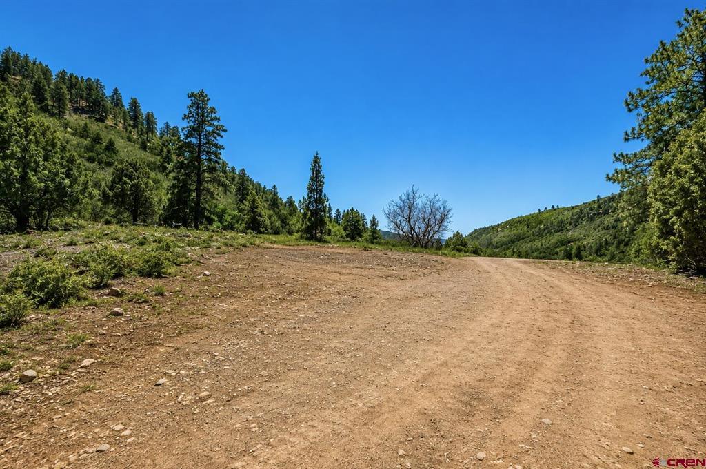 Tbd Road 46 Mancos CO 81328