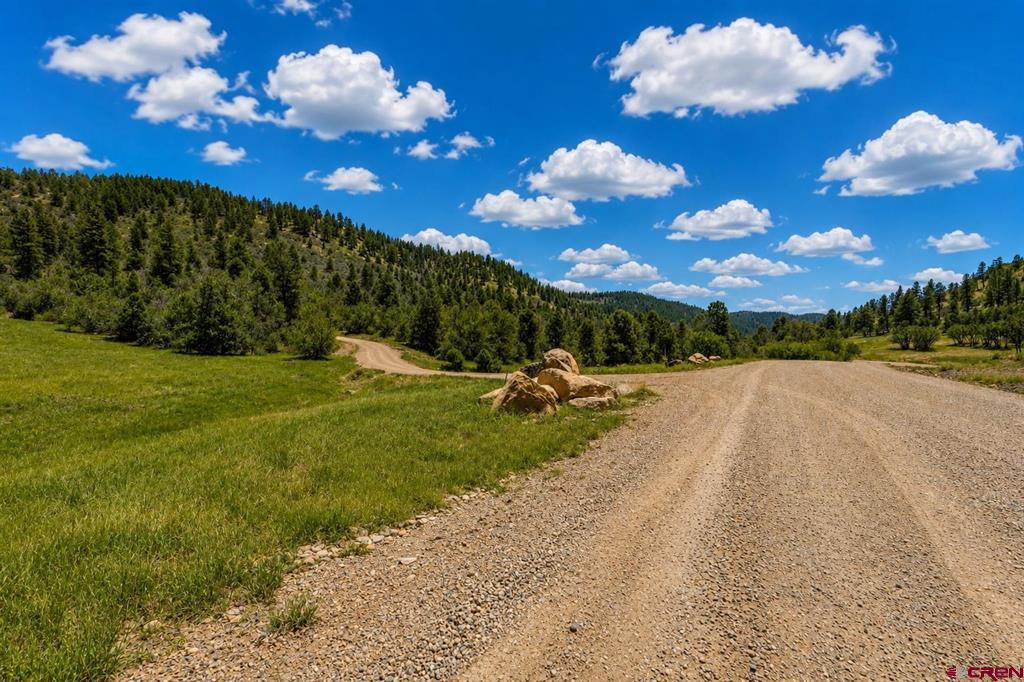 Tbd Road 46 Mancos CO 81328