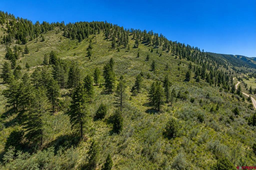 Tbd Road 46 Mancos CO 81328