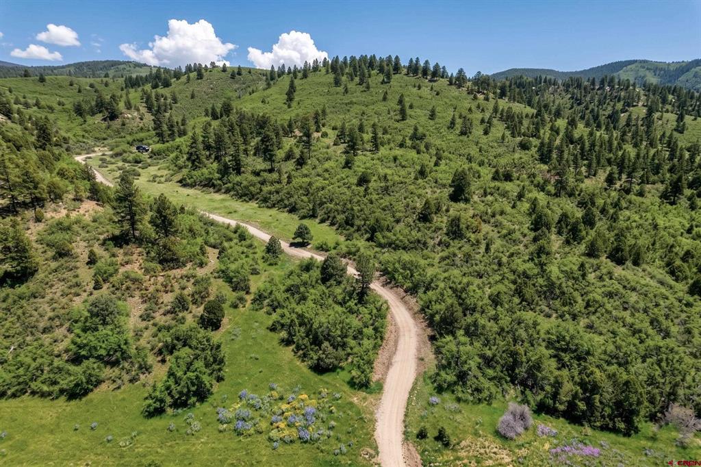 Tbd Road 46 Mancos CO 81328