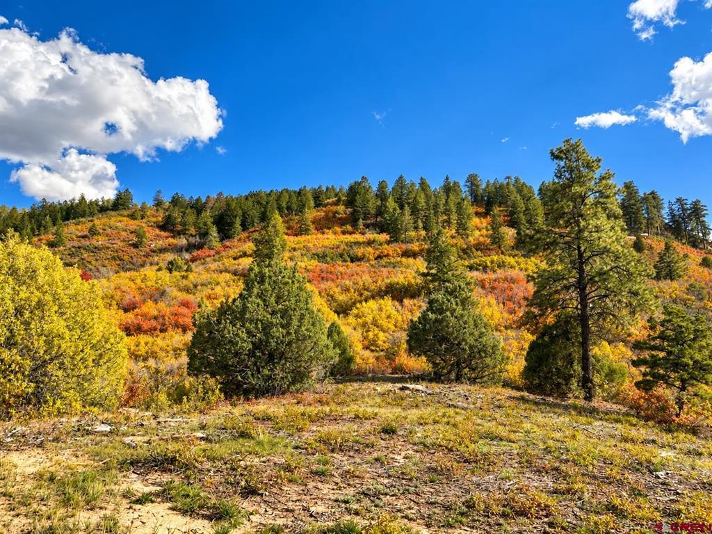 Tbd Road 46 Mancos CO 81328