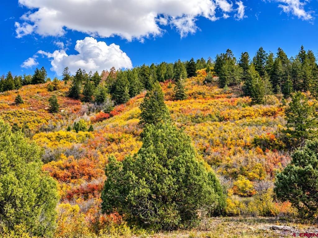 Tbd Road 46 Mancos CO 81328