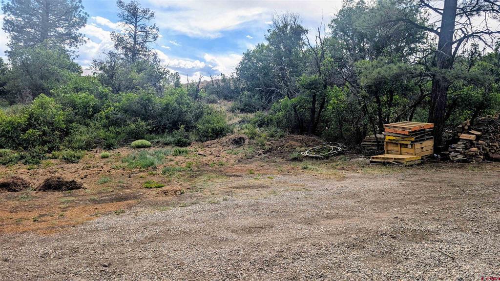 968 Raccoon Drive Pagosa Springs CO 81147