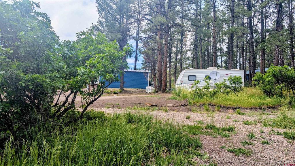 968 Raccoon Drive Pagosa Springs CO 81147