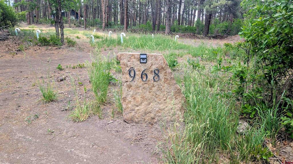 968 Raccoon Drive Pagosa Springs CO 81147