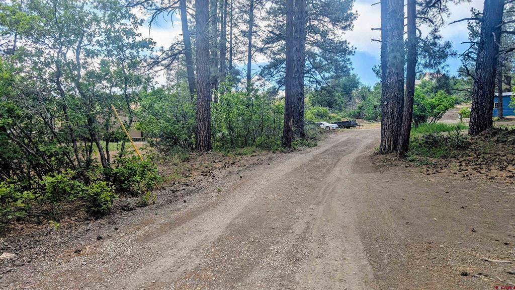 968 Raccoon Drive Pagosa Springs CO 81147