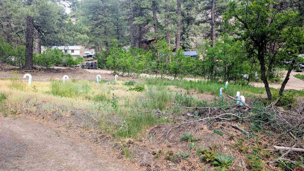 968 Raccoon Drive Pagosa Springs CO 81147