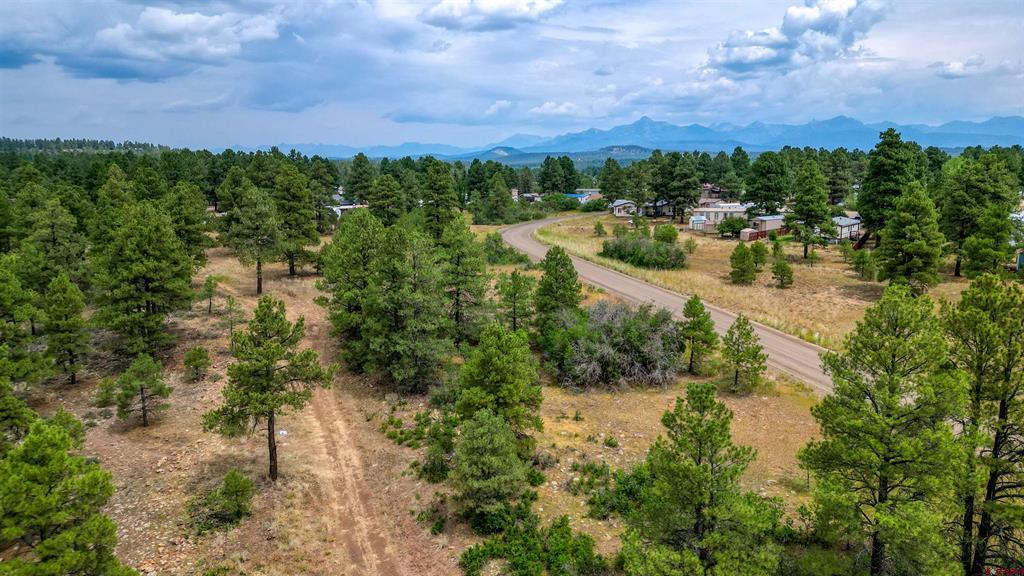 478 & 445 Bonanza Avenue Pagosa Springs CO 81147