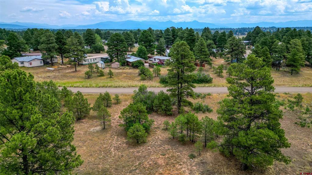 478 & 445 Bonanza Avenue Pagosa Springs CO 81147
