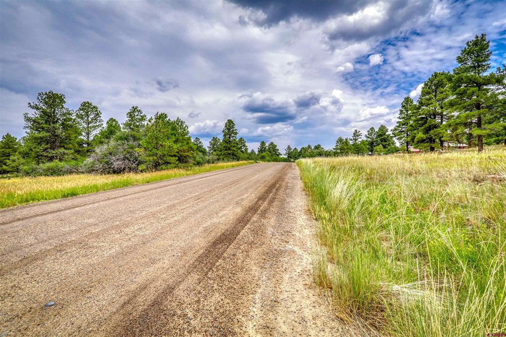 478 & 445 Bonanza Avenue Pagosa Springs CO 81147
