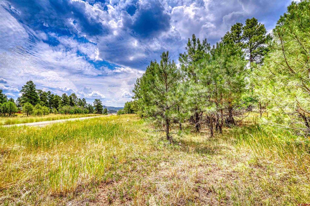 478 & 445 Bonanza Avenue Pagosa Springs CO 81147