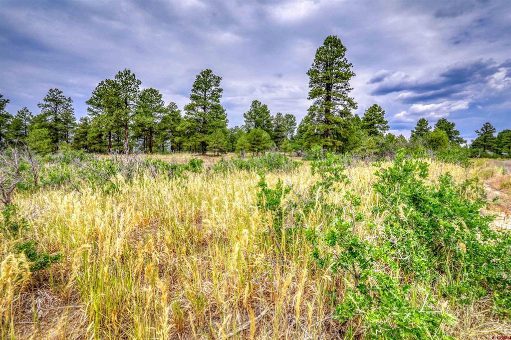 478 & 445 Bonanza Avenue Pagosa Springs CO 81147