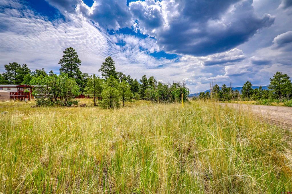 478 & 445 Bonanza Avenue Pagosa Springs CO 81147