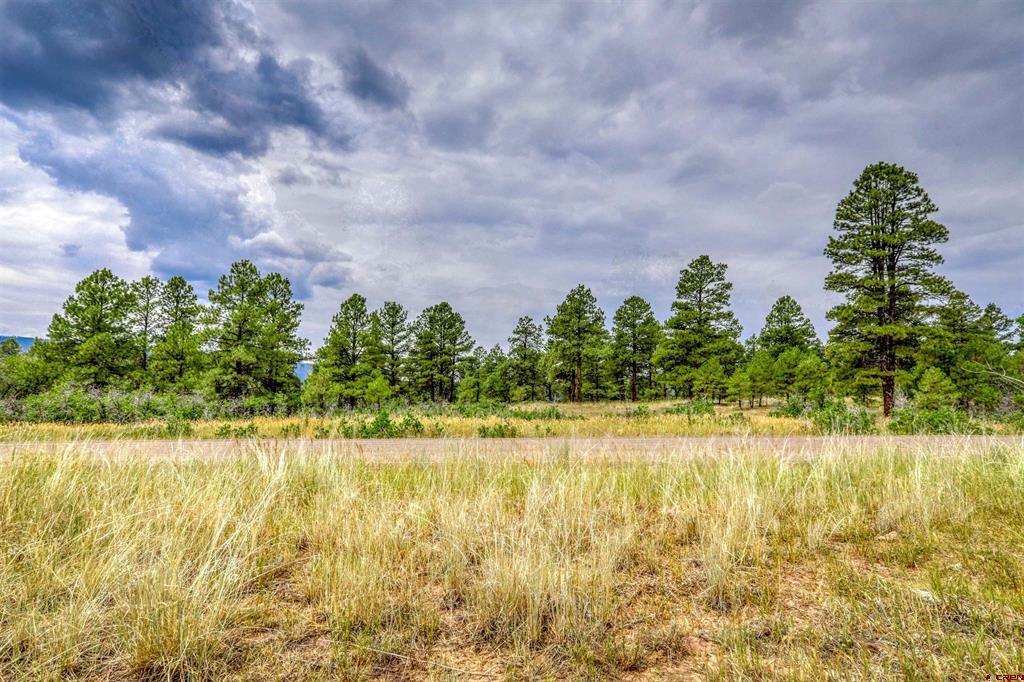 478 & 445 Bonanza Avenue Pagosa Springs CO 81147