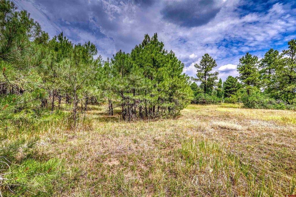 478 & 445 Bonanza Avenue Pagosa Springs CO 81147