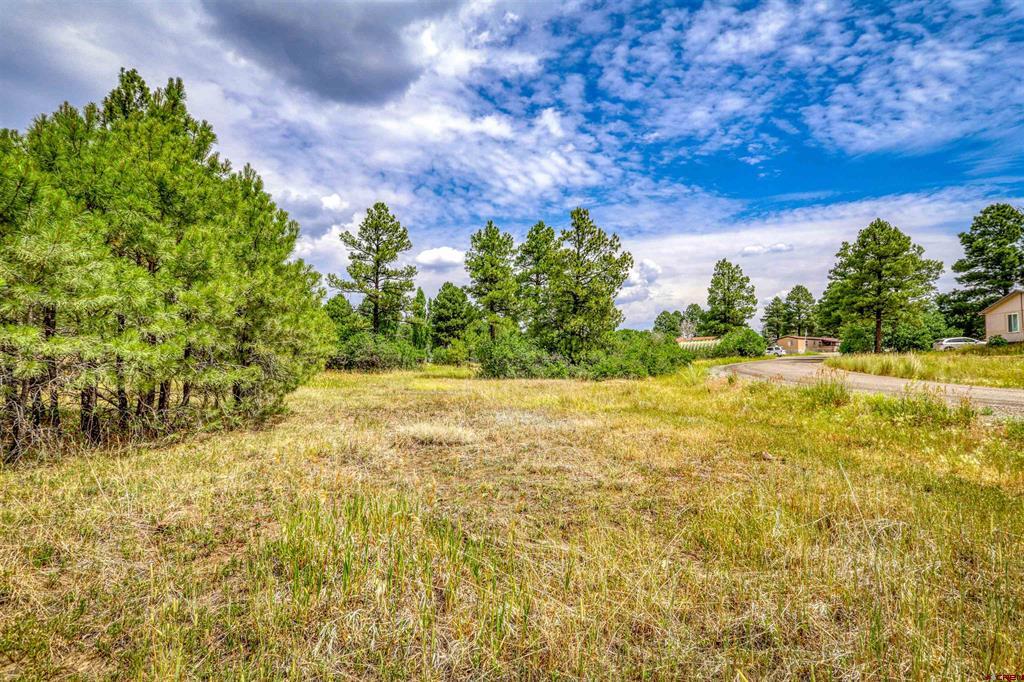 478 & 445 Bonanza Avenue Pagosa Springs CO 81147