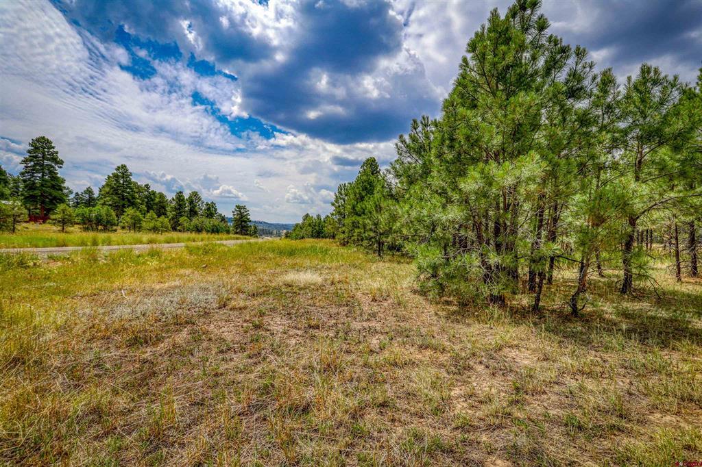478 & 445 Bonanza Avenue Pagosa Springs CO 81147
