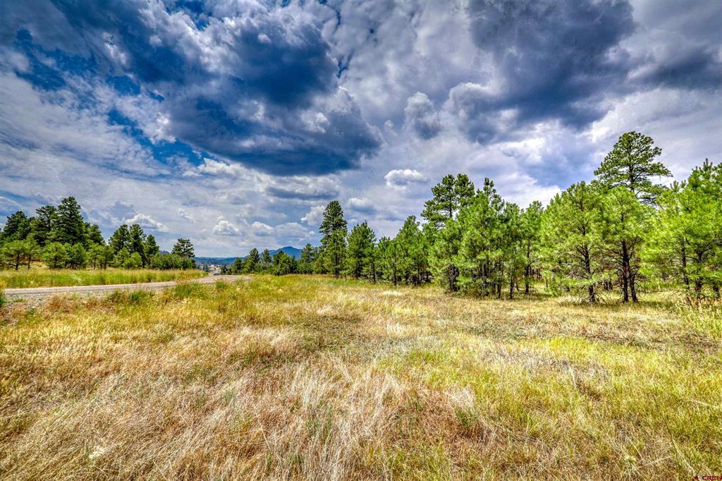 478 & 445 Bonanza Avenue Pagosa Springs CO 81147