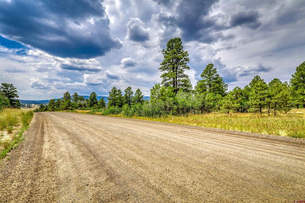 478 & 445 Bonanza Avenue Pagosa Springs CO 81147