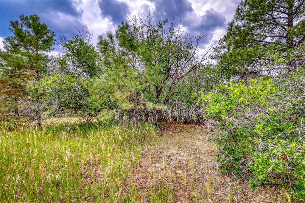 478 & 445 Bonanza Avenue Pagosa Springs CO 81147