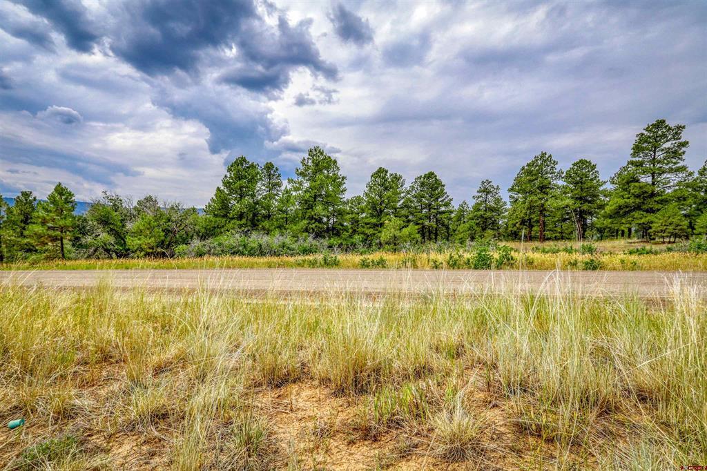 478 & 445 Bonanza Avenue Pagosa Springs CO 81147