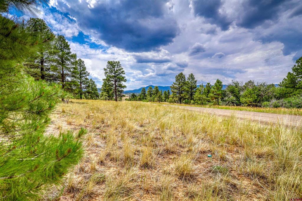 478 & 445 Bonanza Avenue Pagosa Springs CO 81147