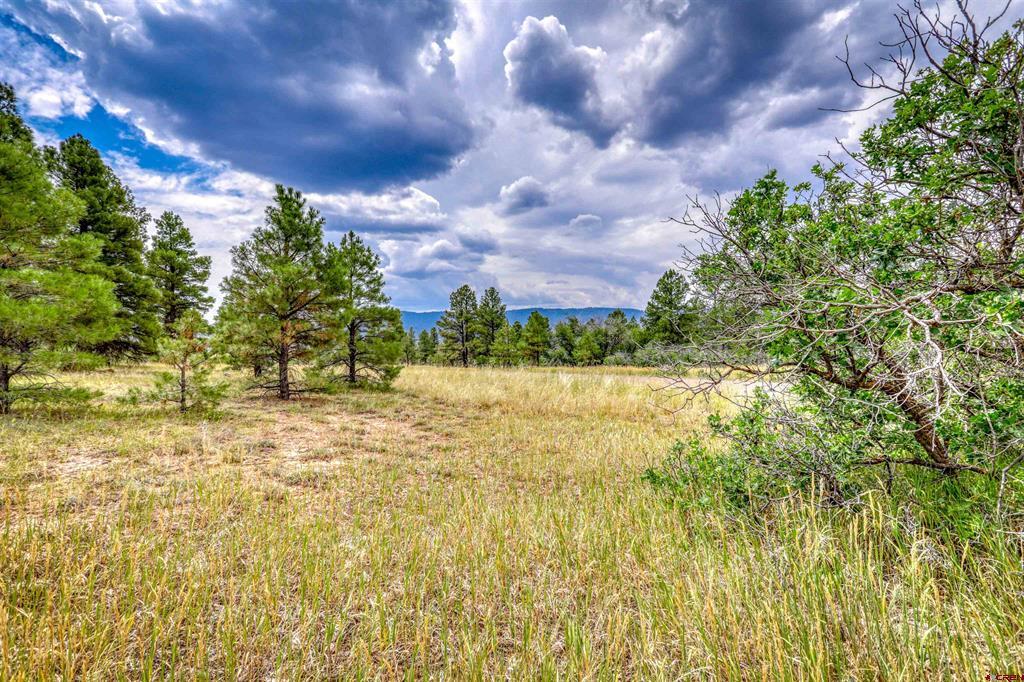 478 & 445 Bonanza Avenue Pagosa Springs CO 81147