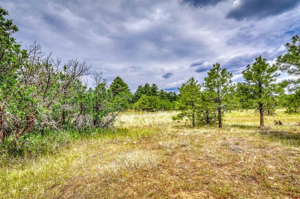 478 & 445 Bonanza Avenue Pagosa Springs CO 81147
