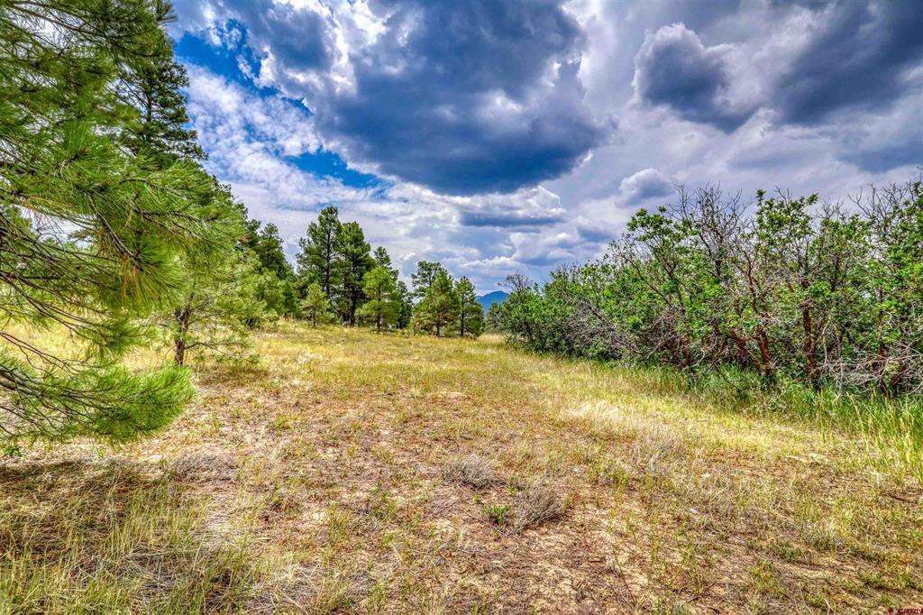 478 & 445 Bonanza Avenue Pagosa Springs CO 81147