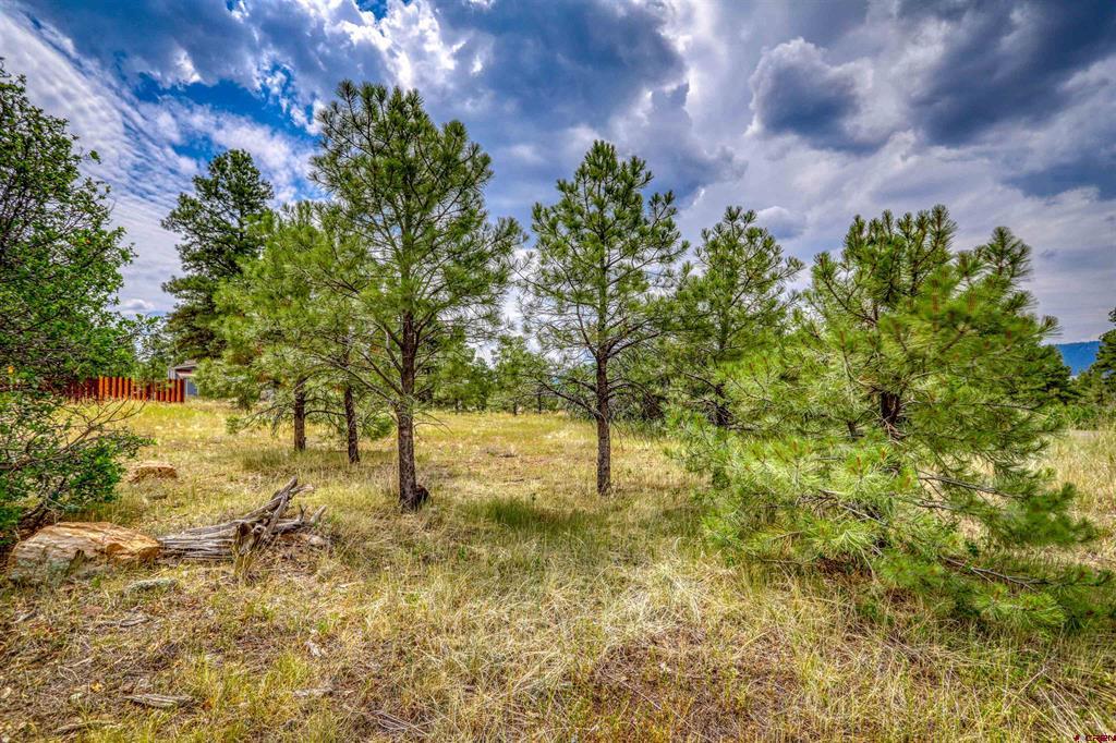 478 & 445 Bonanza Avenue Pagosa Springs CO 81147