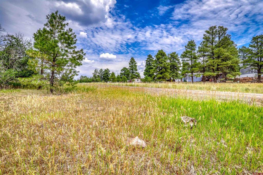 478 & 445 Bonanza Avenue Pagosa Springs CO 81147