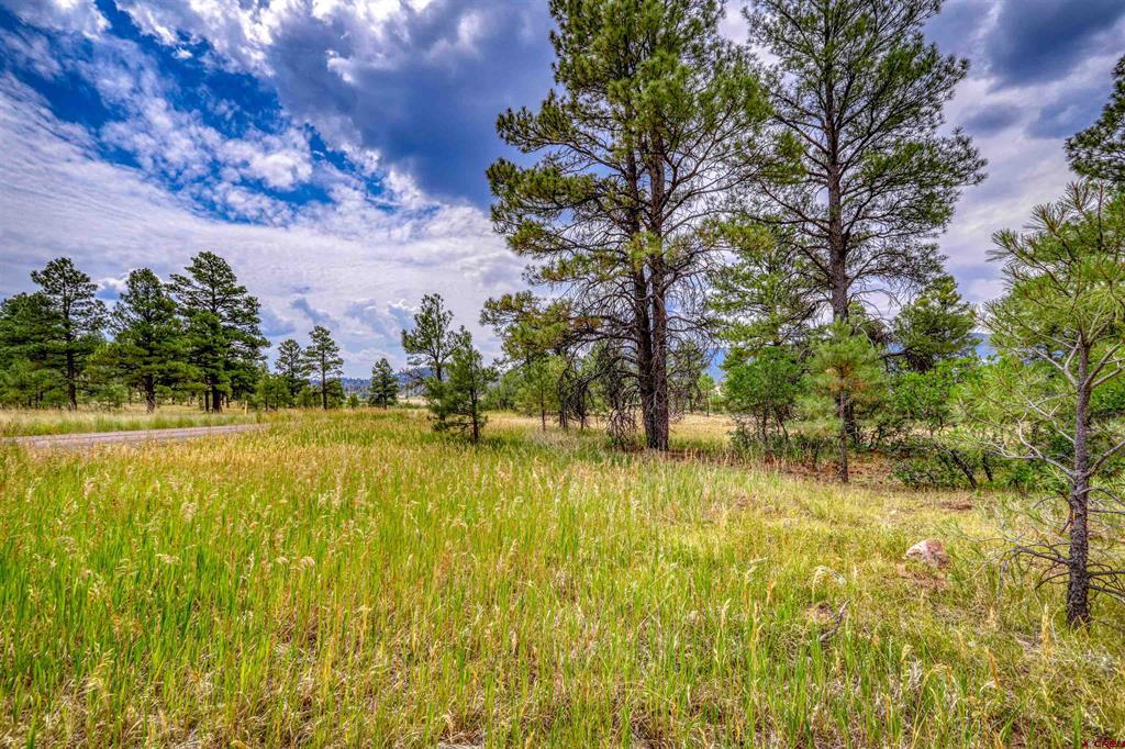 478 & 445 Bonanza Avenue Pagosa Springs CO 81147