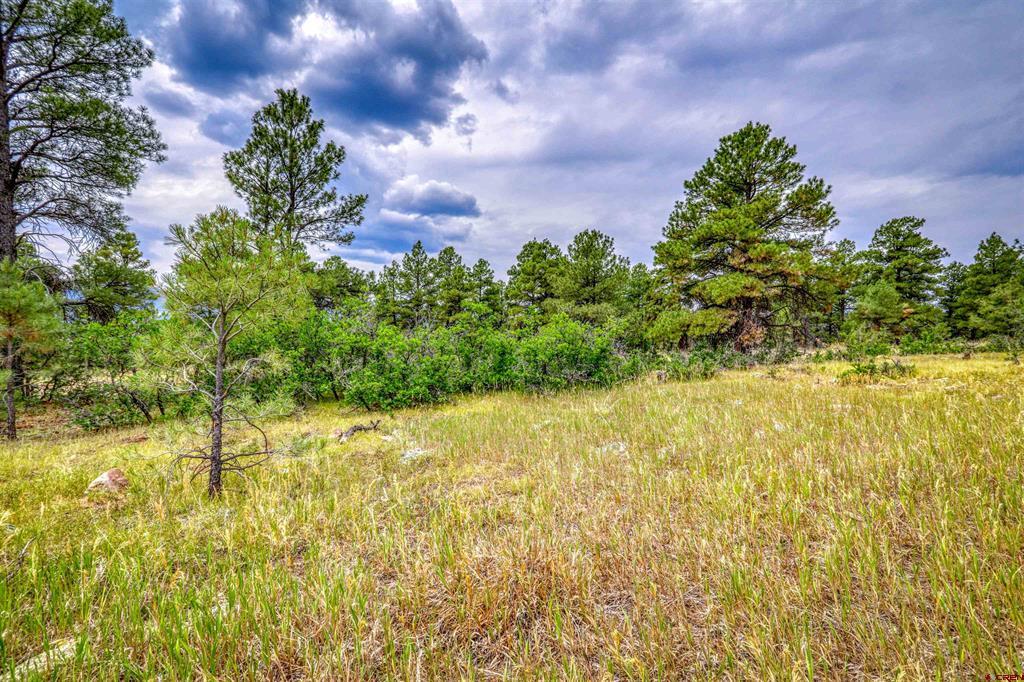 478 & 445 Bonanza Avenue Pagosa Springs CO 81147