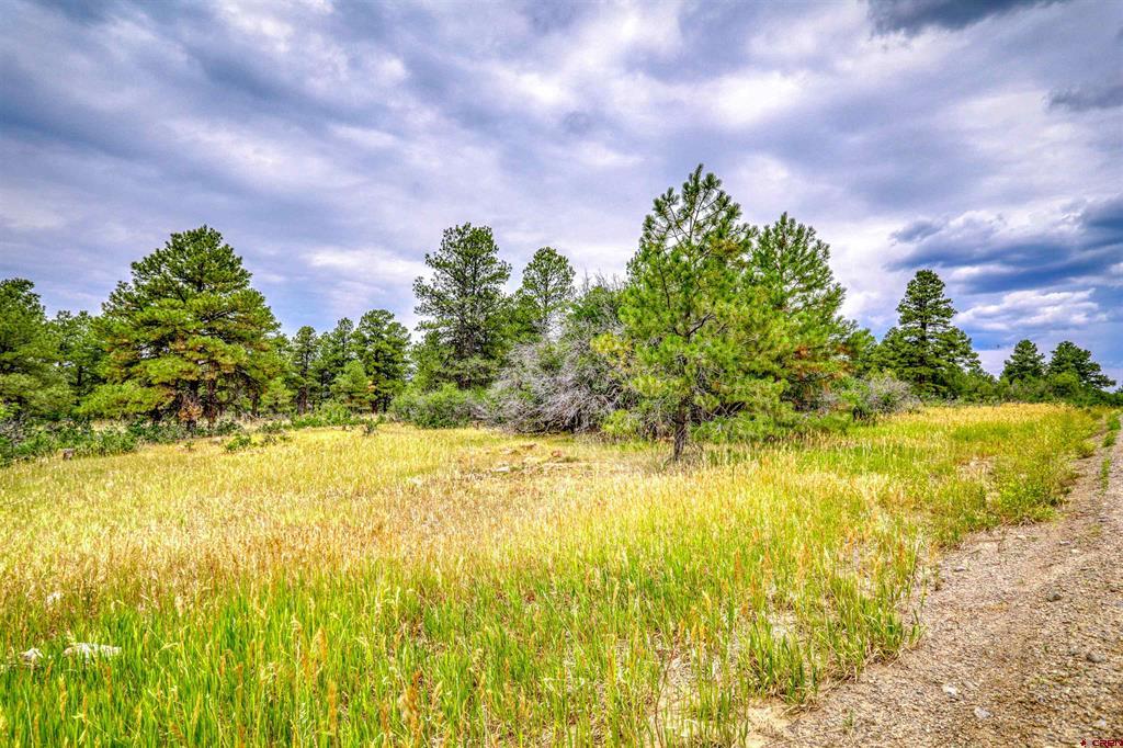 478 & 445 Bonanza Avenue Pagosa Springs CO 81147