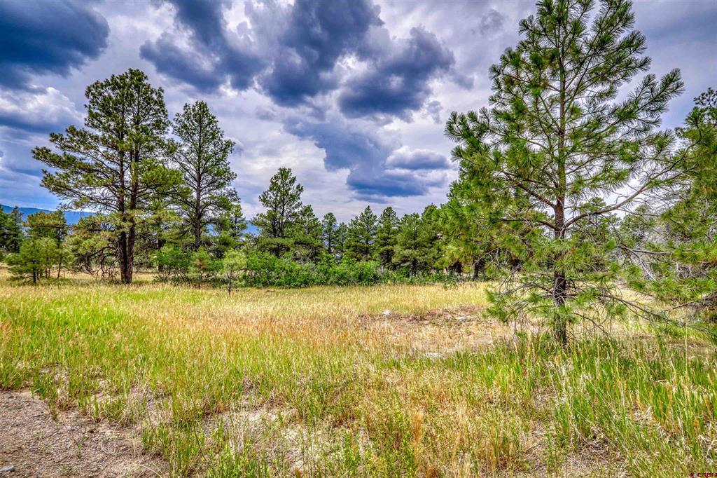 478 & 445 Bonanza Avenue Pagosa Springs CO 81147
