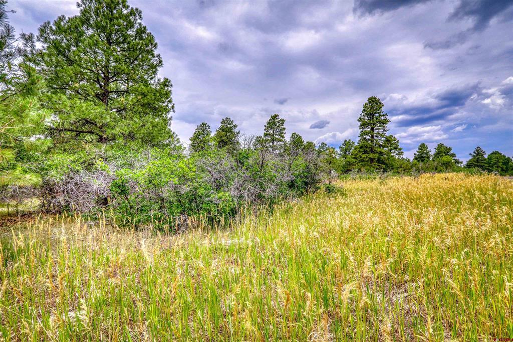 478 & 445 Bonanza Avenue Pagosa Springs CO 81147