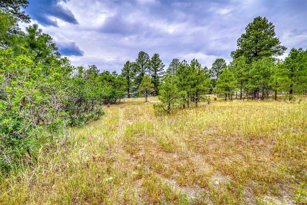 478 & 445 Bonanza Avenue Pagosa Springs CO 81147