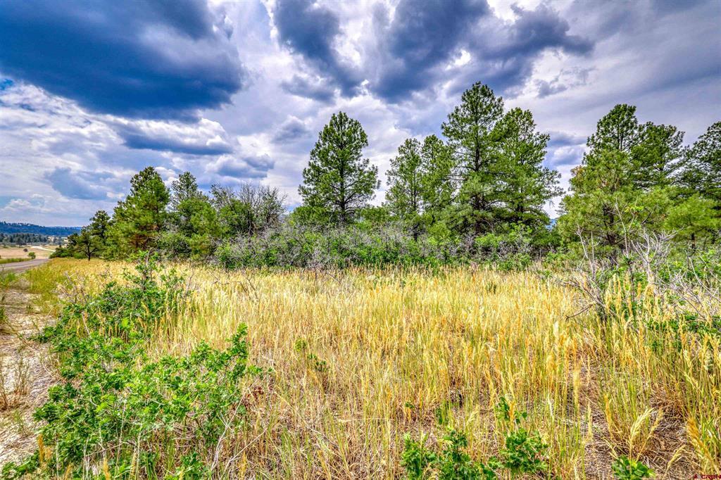 478 & 445 Bonanza Avenue Pagosa Springs CO 81147