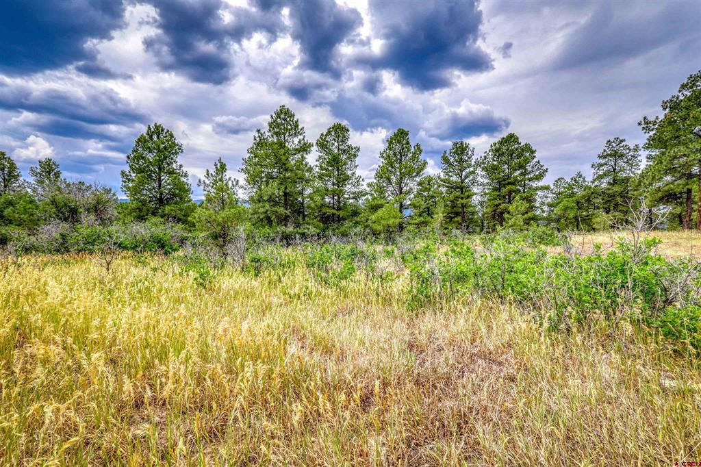 478 & 445 Bonanza Avenue Pagosa Springs CO 81147