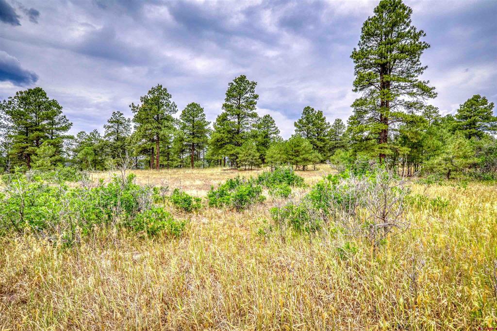478 & 445 Bonanza Avenue Pagosa Springs CO 81147