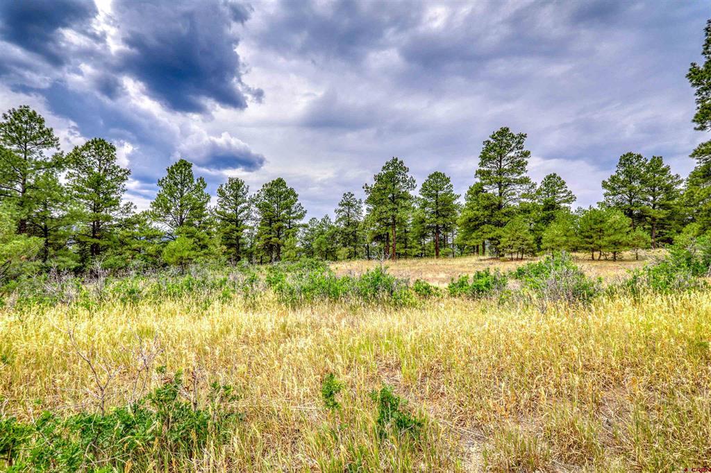 478 & 445 Bonanza Avenue Pagosa Springs CO 81147