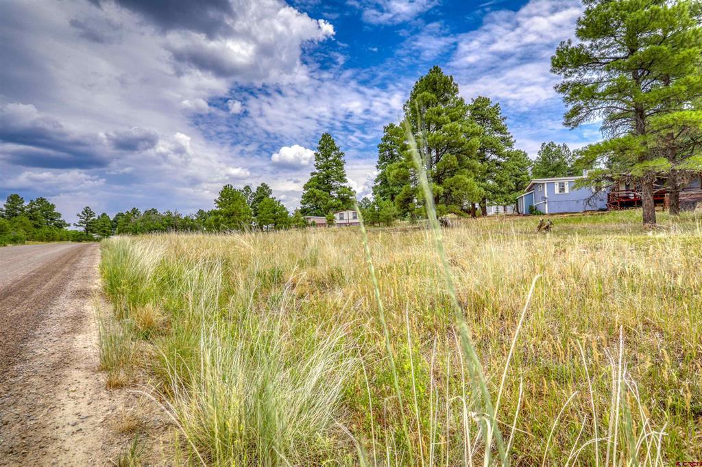 478 & 445 Bonanza Avenue Pagosa Springs CO 81147