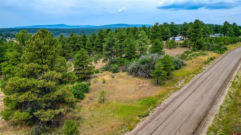 478 & 445 Bonanza Avenue Pagosa Springs CO 81147
