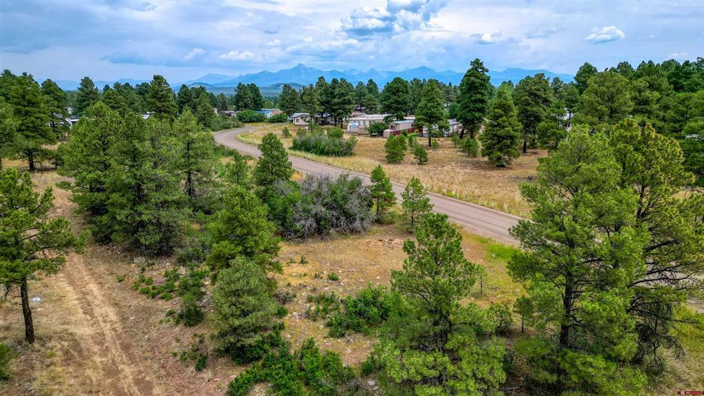 478 & 445 Bonanza Avenue Pagosa Springs CO 81147